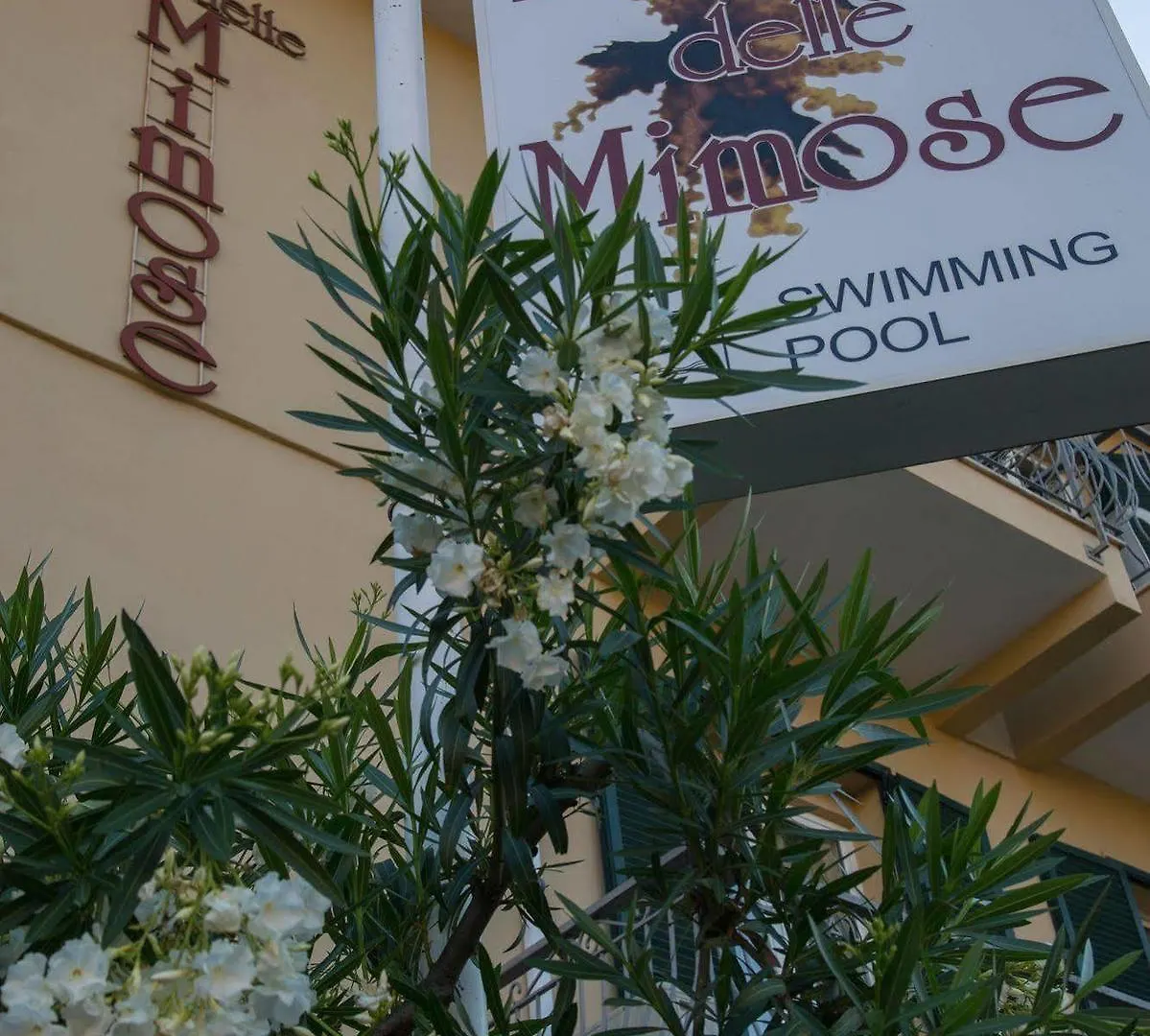 Hotel Delle Mimose Diano Marina